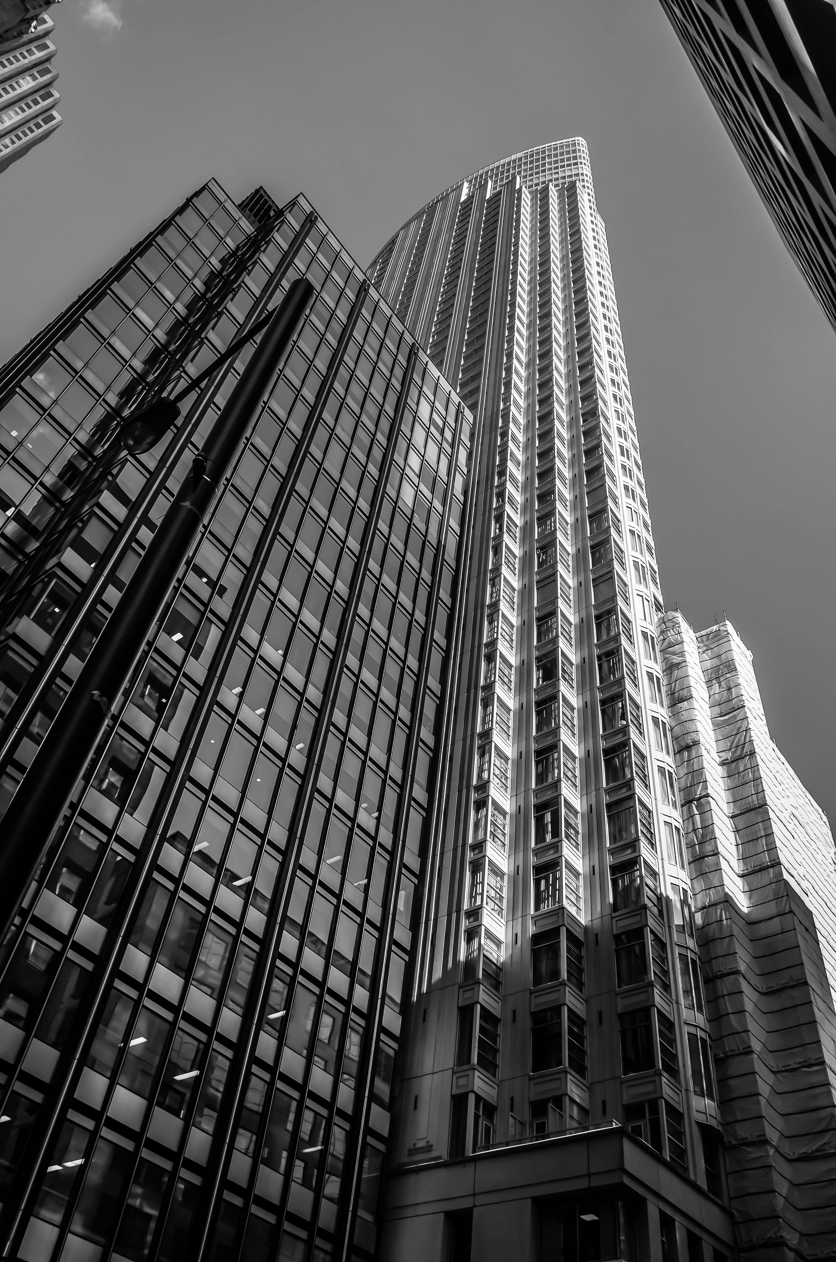 A dramatic low angle view of towering skyscrapers in monochrome.